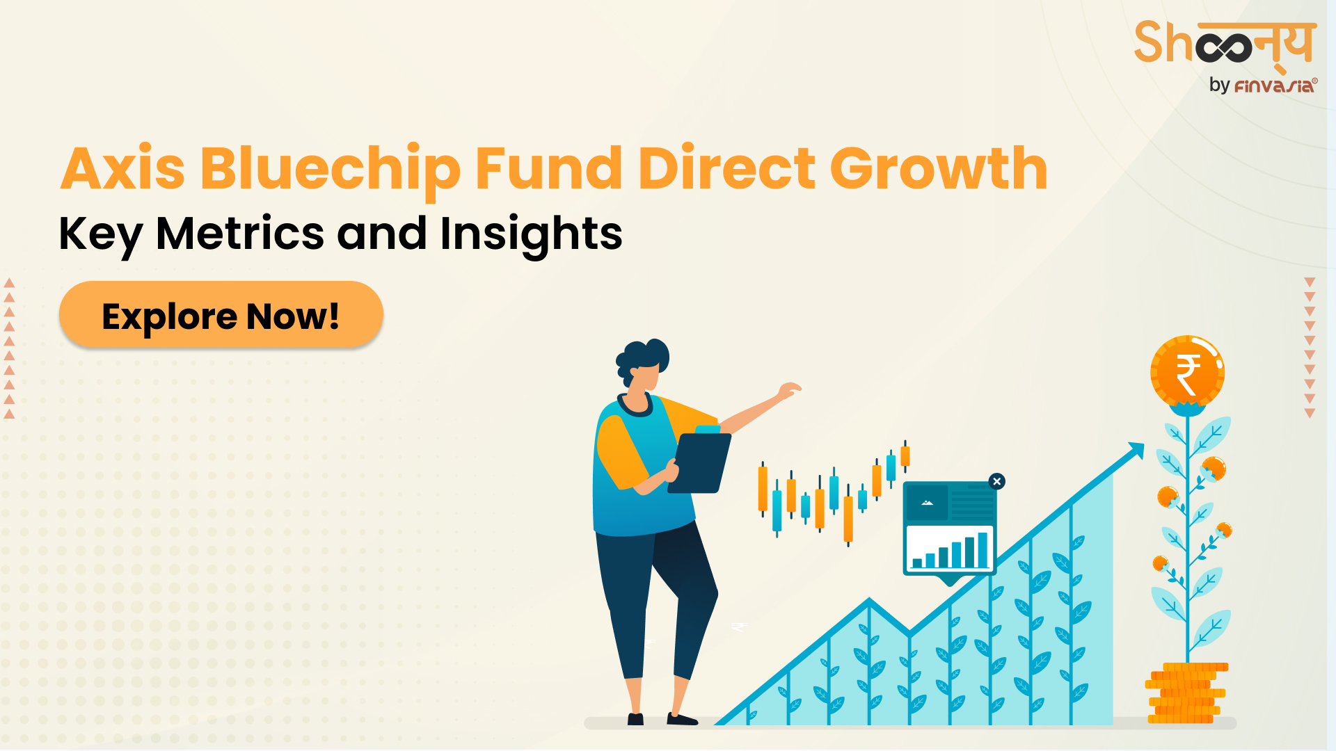 axis bluechip fund direct growth