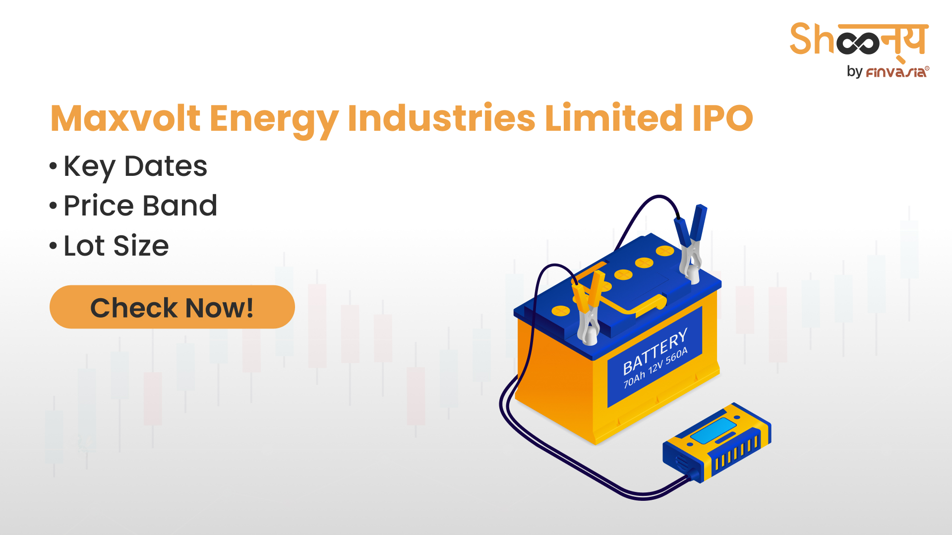 Maxvolt Energy Industries Limited IPO