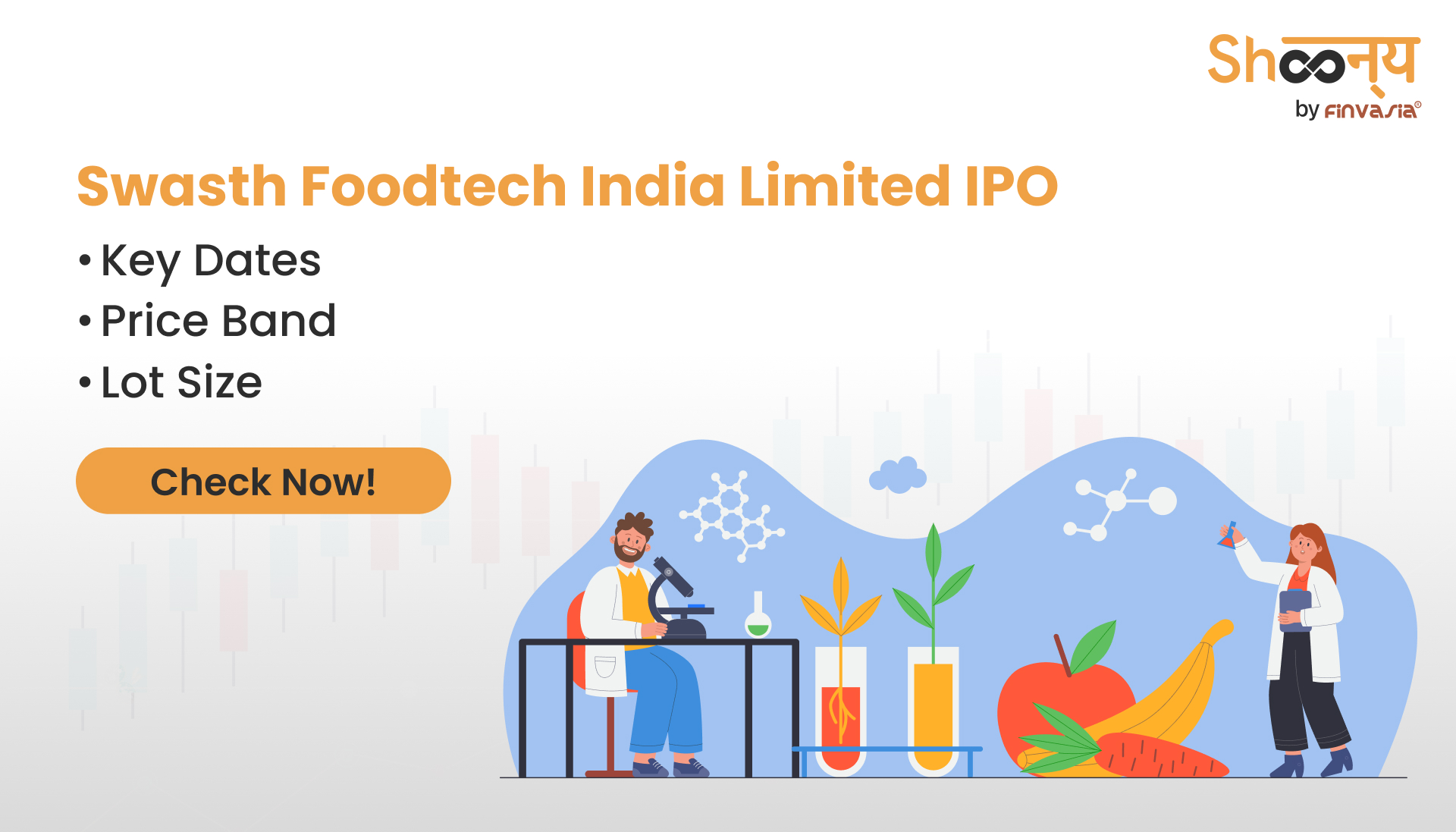 
  Swasth Foodtech India Limited IPO: Price Band and Lot Size