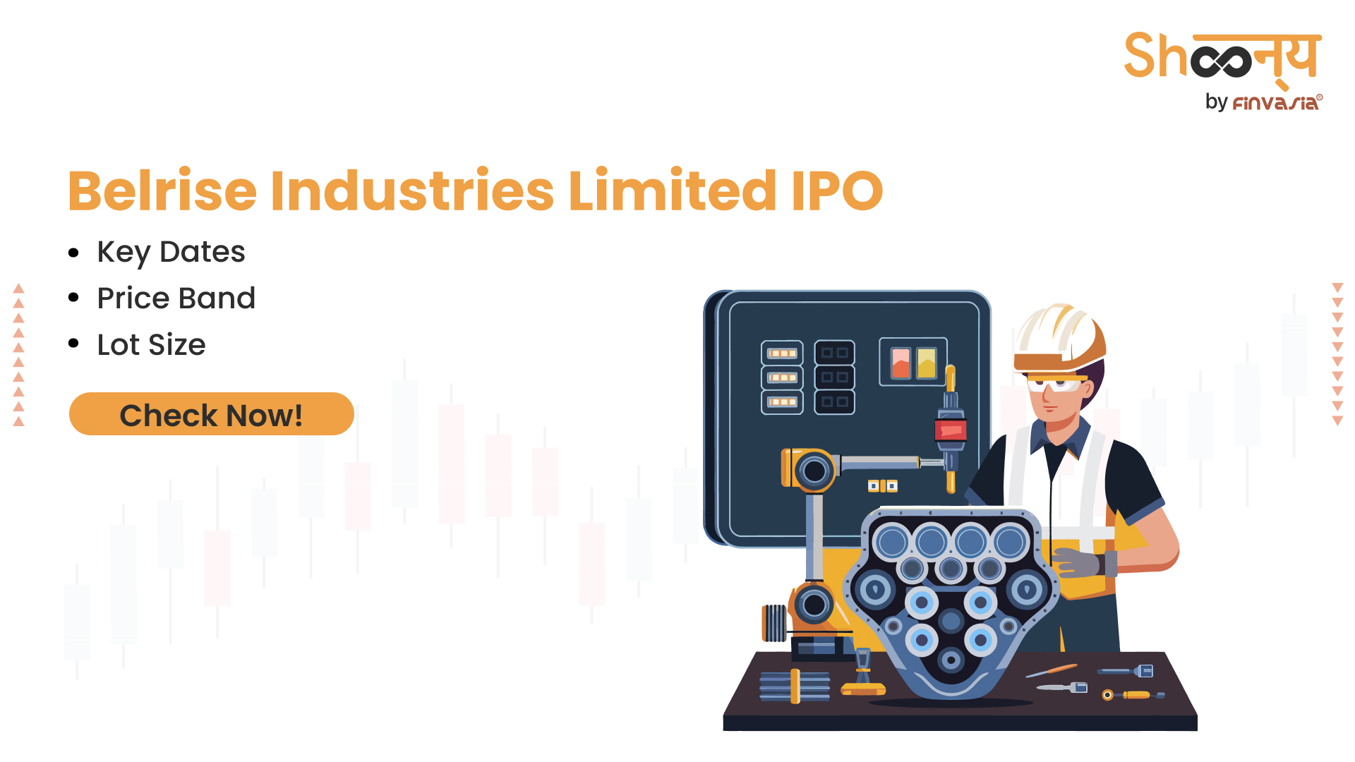 Belrise Industries Limited IPO