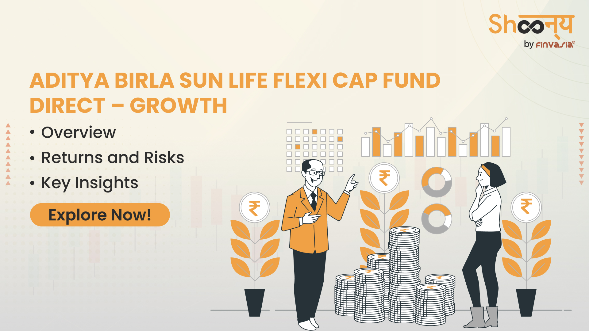 
  Aditya Birla Sun Life Flexicap Fund Direct-Growth: Key Insights, Returns, Risks